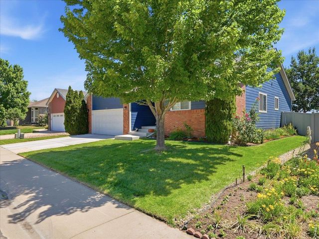332 Whitney Bay, Windsor, CO 80550