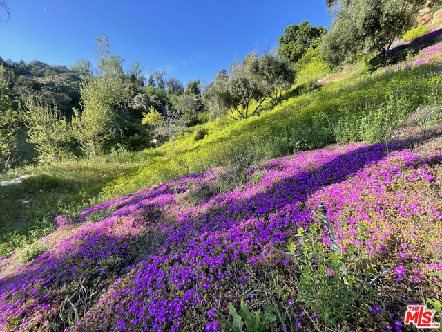 21630 Saddle Peak Road, Topanga, CA 90290