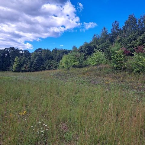 00 Chicora Rd, Fairview Twp, PA 16025