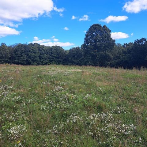 00 Chicora Rd, Fairview Twp, PA 16025