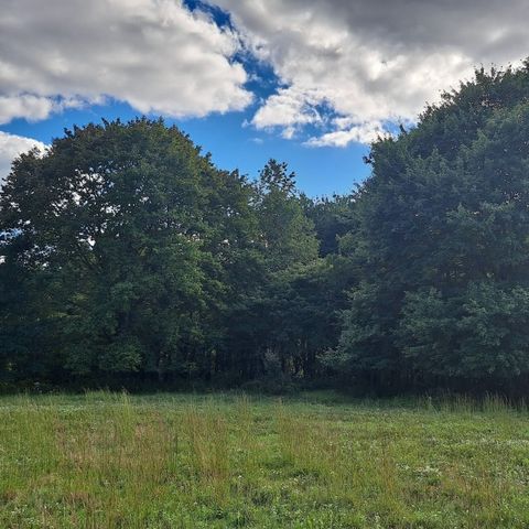 00 Chicora Rd, Fairview Twp, PA 16025