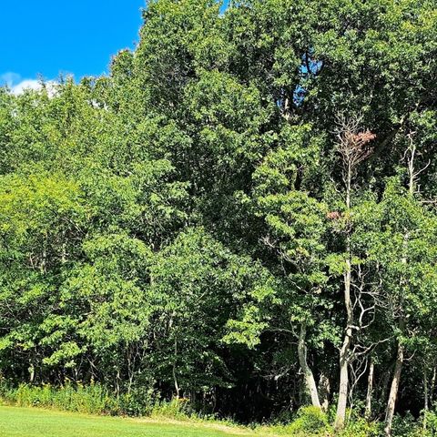 00 Chicora Rd, Fairview Twp, PA 16025