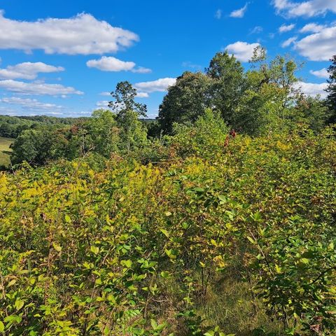 00 Chicora Rd, Fairview Twp, PA 16025