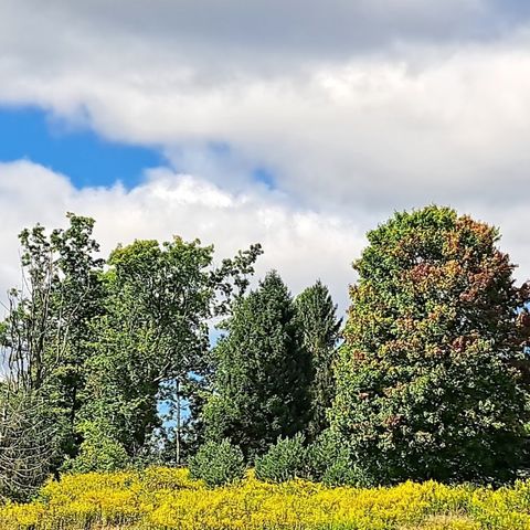 00 Chicora Rd, Fairview Twp, PA 16025