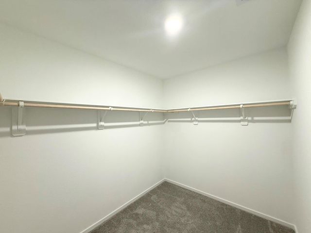 29027 Grazing Plains Lane, Hockley, TX 77447