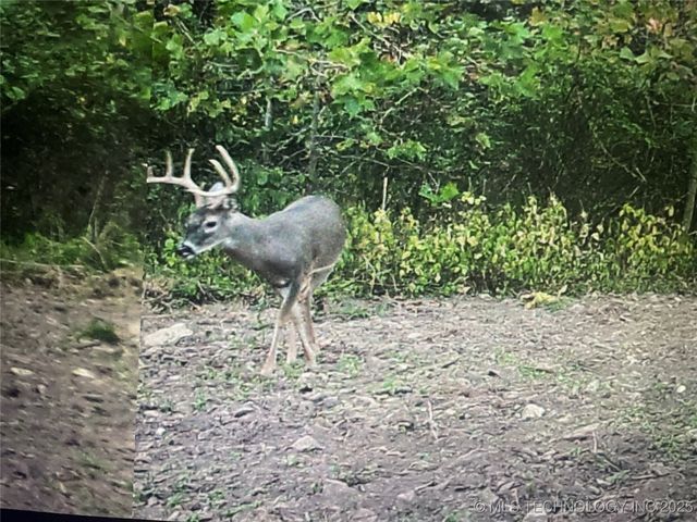 471962 E 720, Westville, OK 74965