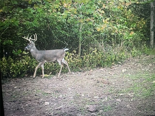 471962 E 720, Westville, OK 74965