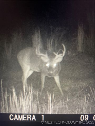 471962 E 720, Westville, OK 74965