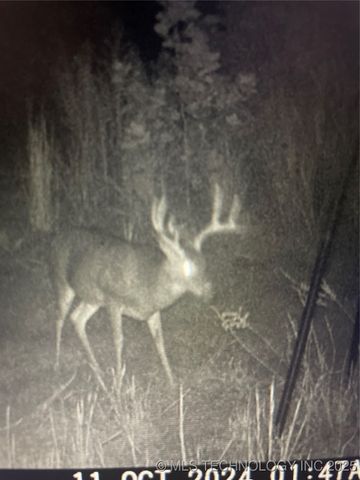 471962 E 720, Westville, OK 74965