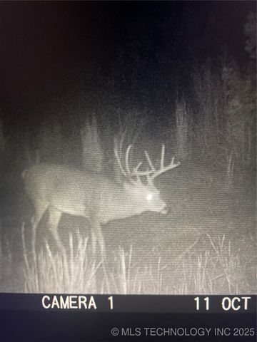 471962 E 720, Westville, OK 74965