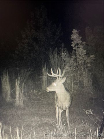 471962 E 720, Westville, OK 74965