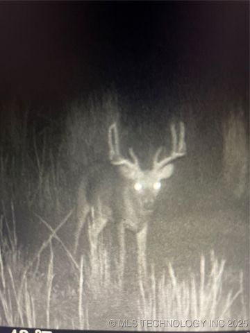 471962 E 720, Westville, OK 74965