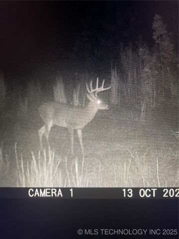 471962 E 720, Westville, OK 74965