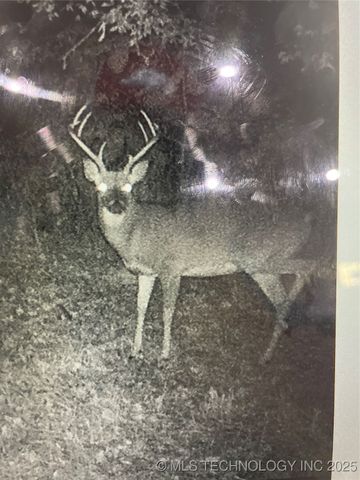 471962 E 720, Westville, OK 74965