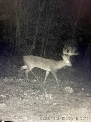 471962 E 720, Westville, OK 74965