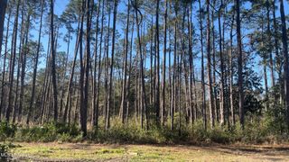 0 Beach Street, Ocean Springs, MS 39564