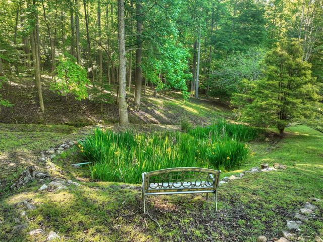 11 Mattie Mitchell Road, Morganton, GA 30560