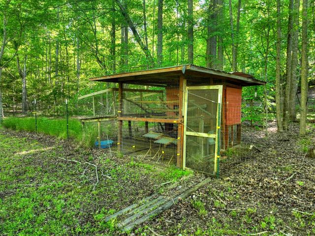 11 Mattie Mitchell Road, Morganton, GA 30560