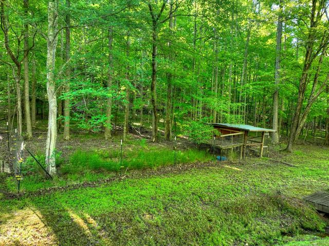 11 Mattie Mitchell Road, Morganton, GA 30560