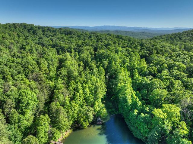 11 Mattie Mitchell Road, Morganton, GA 30560