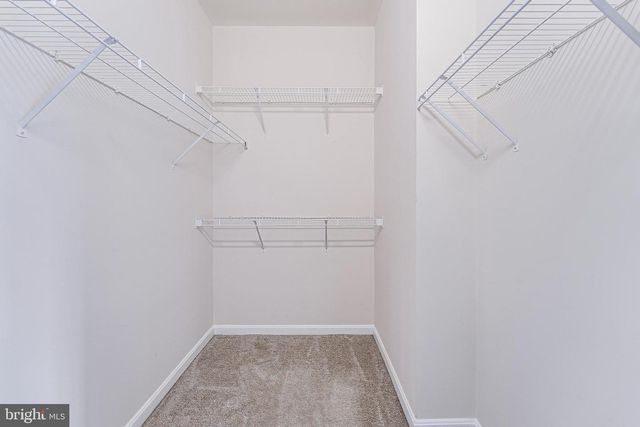 7198 LITTLE THAMES DR, Gainesville, VA 20155