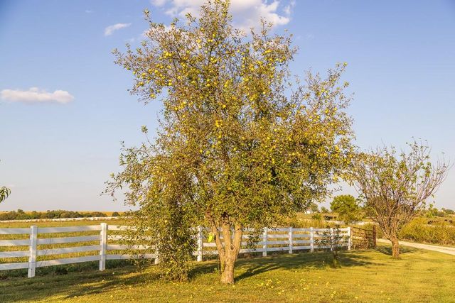 800 NW 950th Road, Blairstown, MO 64726