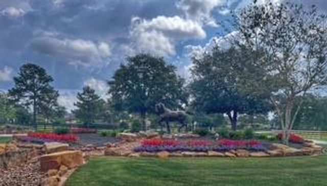 18 Rugged Lark Circle, Tomball, TX 77377