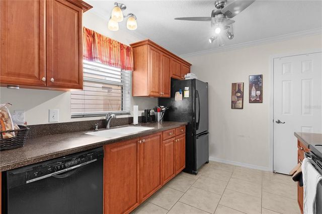 1121 RICARDO AVENUE, The Villages, FL 32159