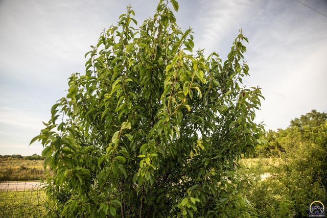193 N 600 Rd, Overbrook, KS 66524