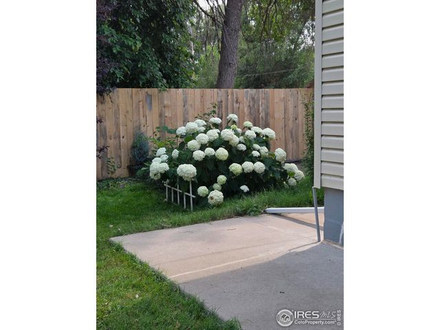 914 N Carson St, Brush, CO 80723