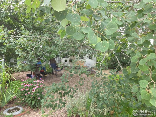 914 N Carson St, Brush, CO 80723