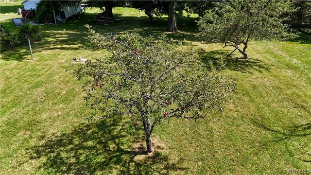 6680 Heise Road, Clarence, NY 14032