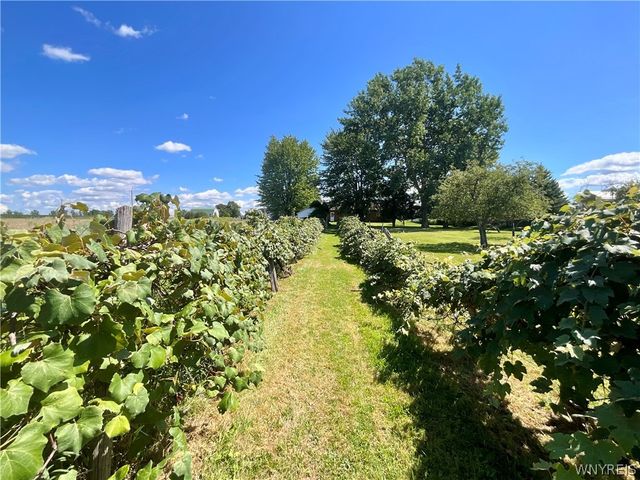 6680 Heise Road, Clarence, NY 14032