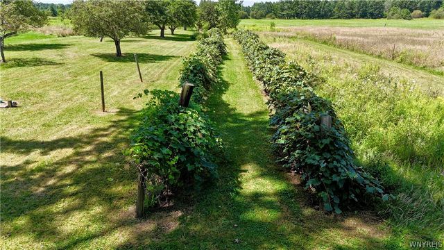 6680 Heise Road, Clarence, NY 14032
