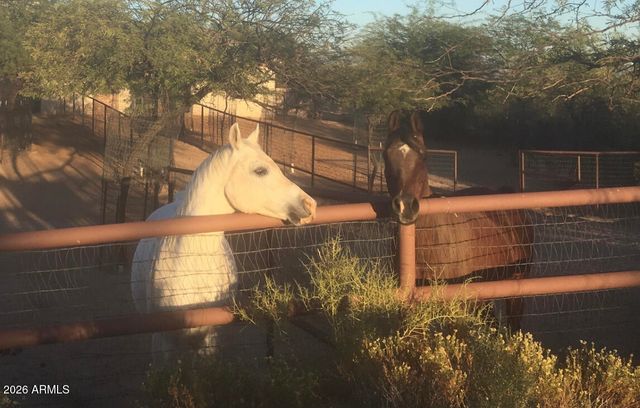 14227 E WINDSTONE Trail, Scottsdale, AZ 85262