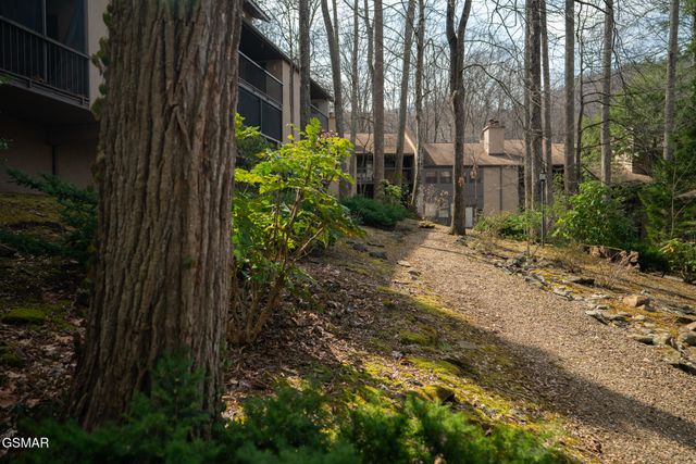 1235 Ski Mountain Road, Gatlinburg, TN 37738
