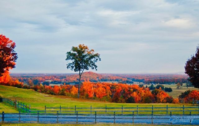 160 Hagood Drive, Somerville, AL 35670