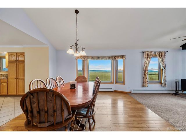 4109 County Road 5, Fairplay, CO 80440