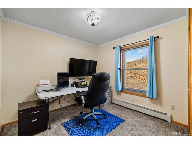 4109 County Road 5, Fairplay, CO 80440
