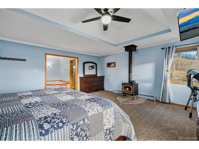 4109 County Road 5, Fairplay, CO 80440