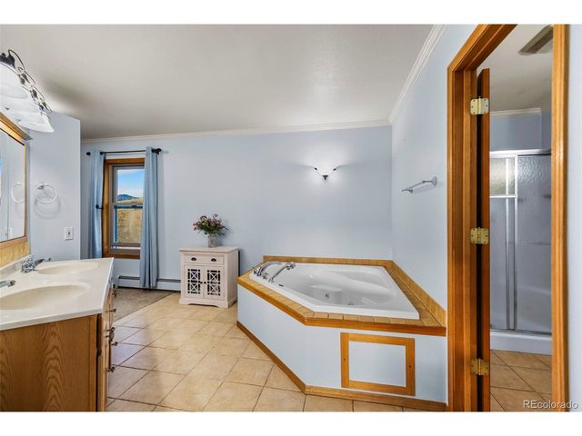 4109 County Road 5, Fairplay, CO 80440