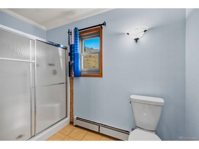 4109 County Road 5, Fairplay, CO 80440