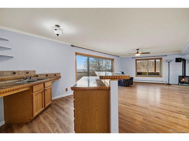 4109 County Road 5, Fairplay, CO 80440