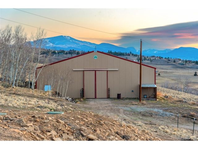 4109 County Road 5, Fairplay, CO 80440