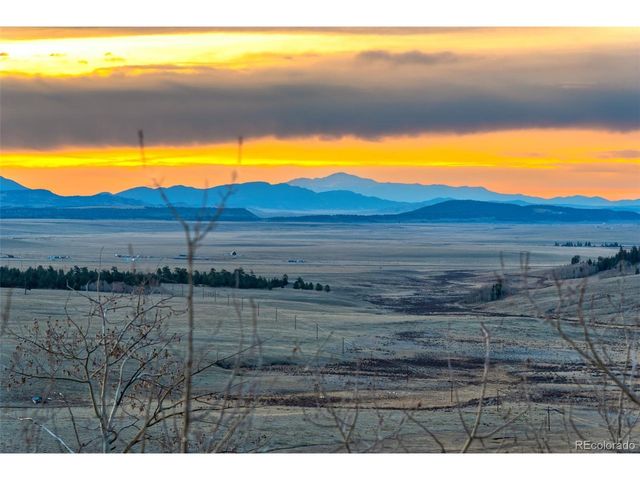 4109 County Road 5, Fairplay, CO 80440
