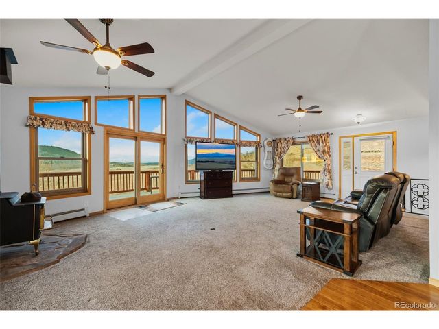 4109 County Road 5, Fairplay, CO 80440