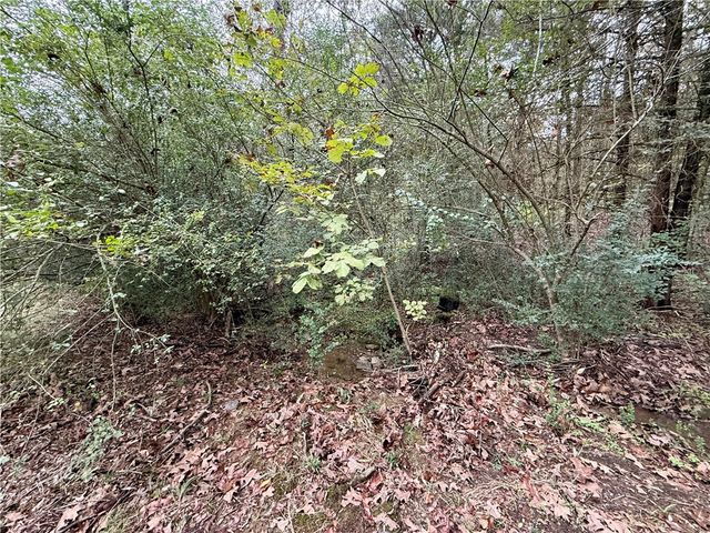 15127 Old Belleville Road, Belleville, AR 72824