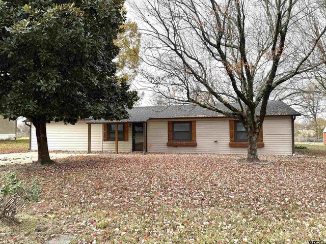 641 Mitchell Street, Winnsboro, TX 75494