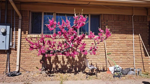 8222 Connecticut Street NE, Albuquerque, NM 87110
