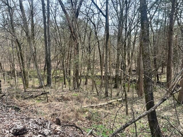 2809 Old Highway 58, Georgetown, TN 37336